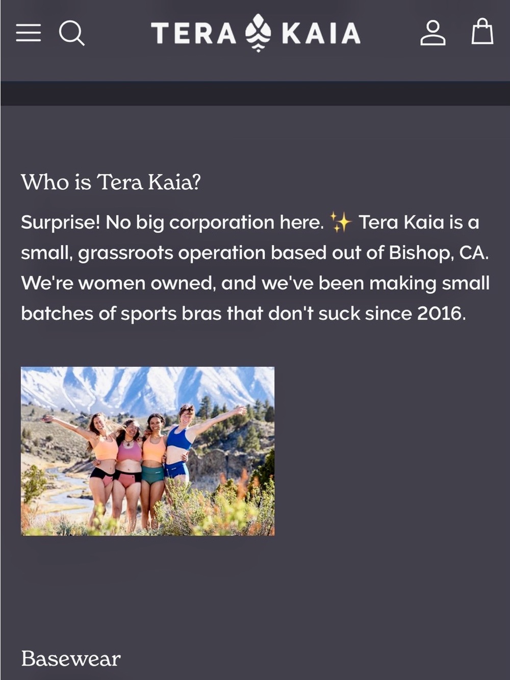 NWOT-Tera Kaia ReMade TOURA Basewear Top Sports Bra Swim One Of A Kind - Picture 15 of 15